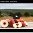 Video Promocional Grupo Sol de Badajoz